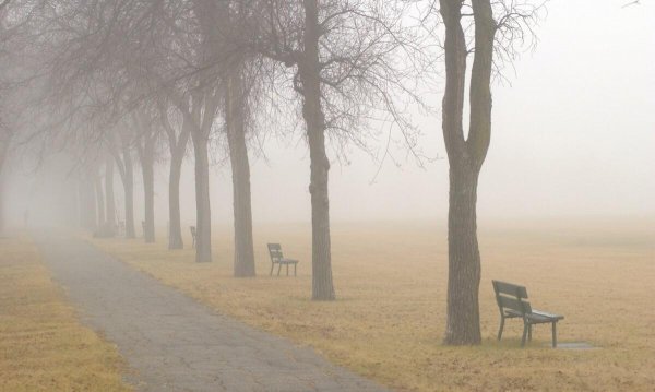 常见的天气现象有哪些