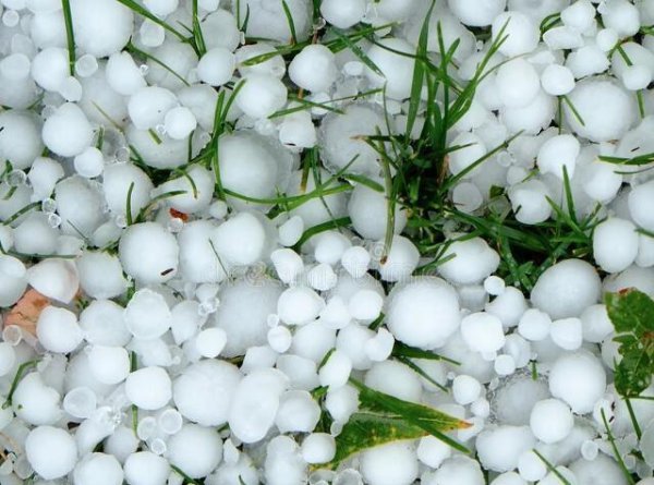 常见的天气现象有哪些