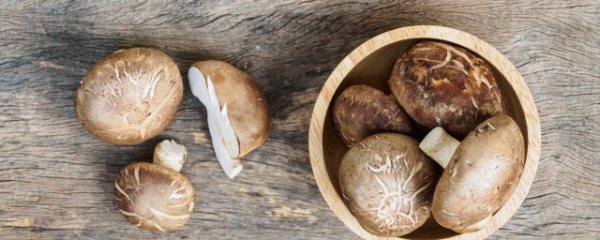 香菇怎么煮好吃