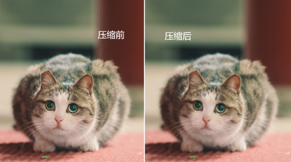 照片调整大小和像素方法