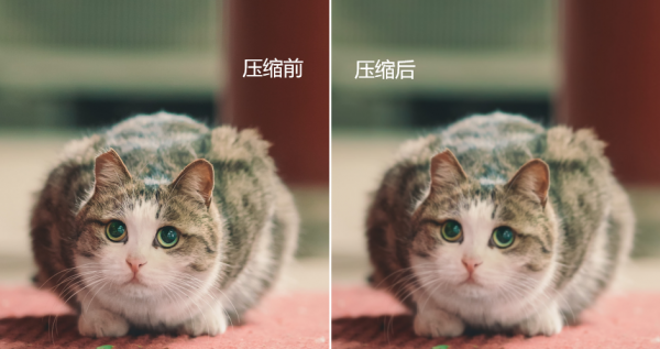 照片调整大小和像素方法