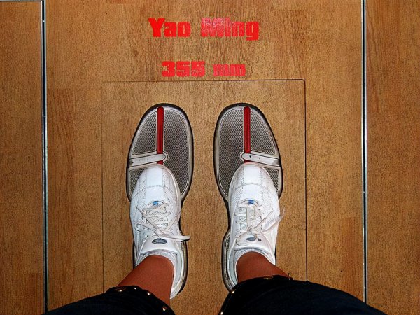 球星姚明鞋子多少码