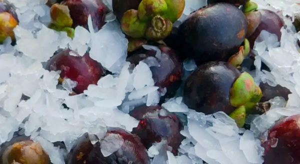 山竹为什么这么贵