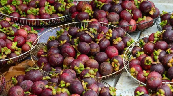 山竹为什么这么贵