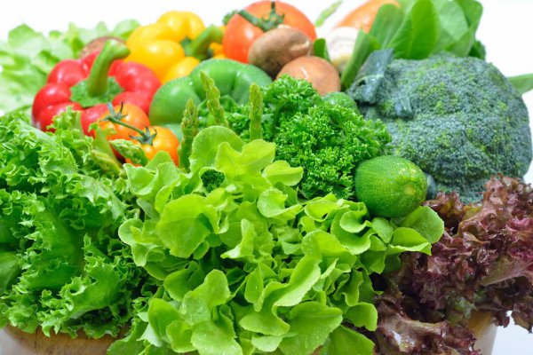 各种蔬菜种植时间表