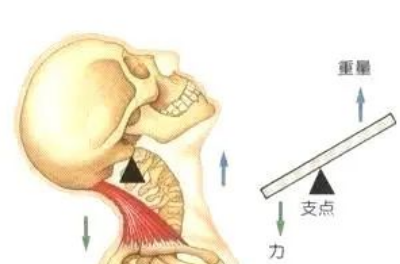 生活中的杠杆有哪些