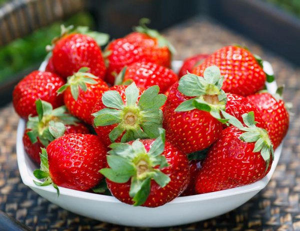 丹东99和红颜有什么区别