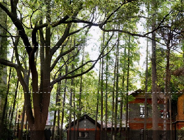 上海理工大学是双一流大学吗