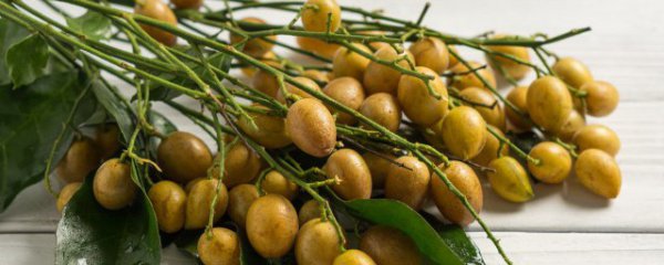 水果保鲜库怎么建