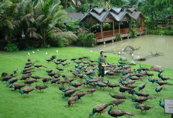 西双版纳离缅甸近吗