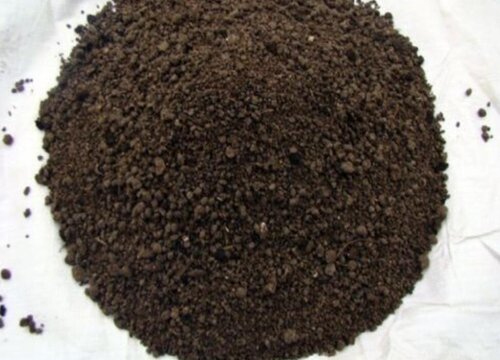 如何用微生物有机肥养护花卉