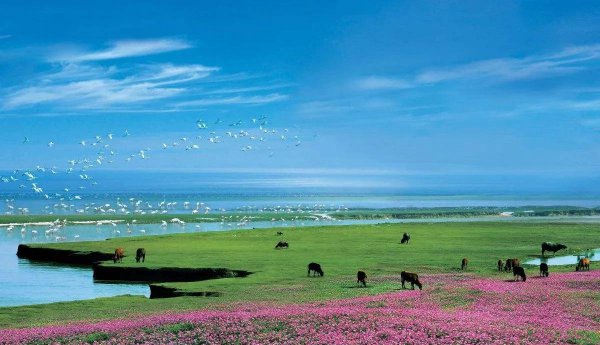 中国第一淡水湖在哪