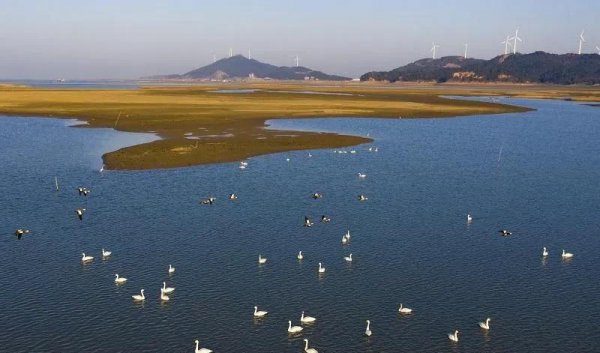 中国第一淡水湖在哪