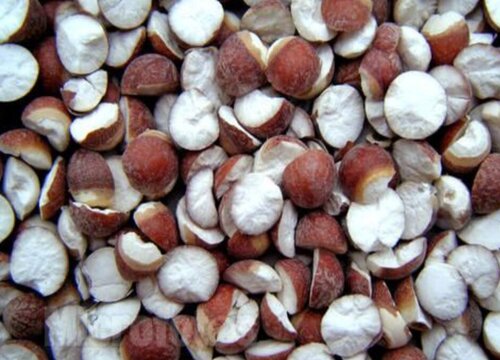 芡实什么时候收获