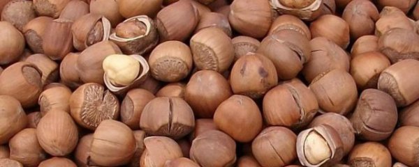 吃榛子的禁忌有哪些