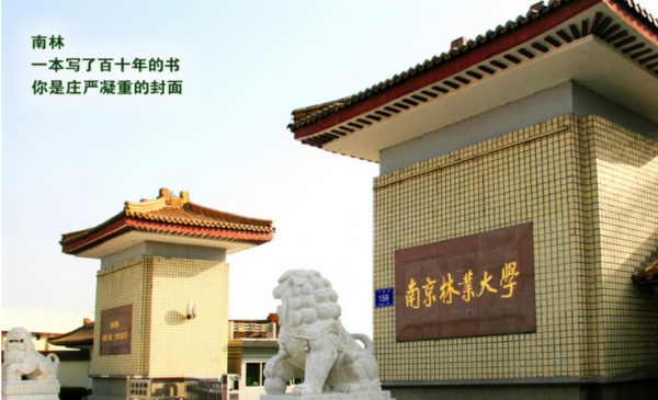 南京林业大学是985或者211吗