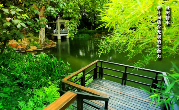 南京林业大学是985或者211吗