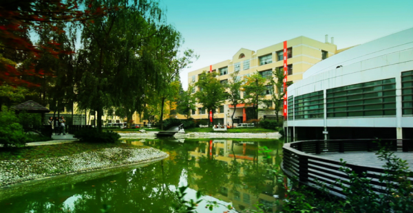 南京林业大学是985或者211吗