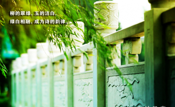 南京林业大学是985或者211吗