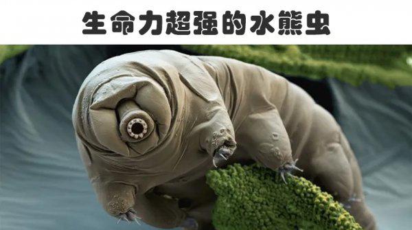 哪个现象可以证明外星人的存在