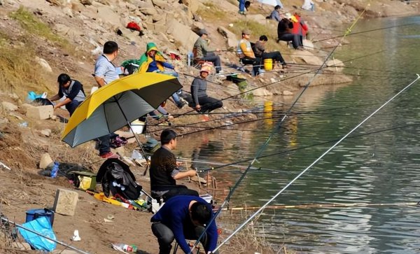 夏天钓鱼饵料用腥还是香味好