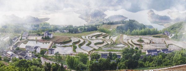 三农指的是哪三农