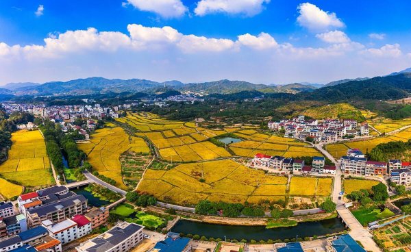 三农指的是哪三农