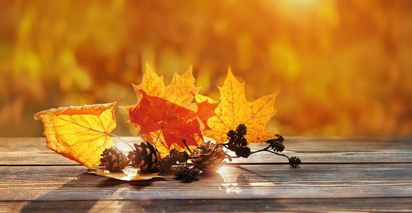 安慰失恋女生的话