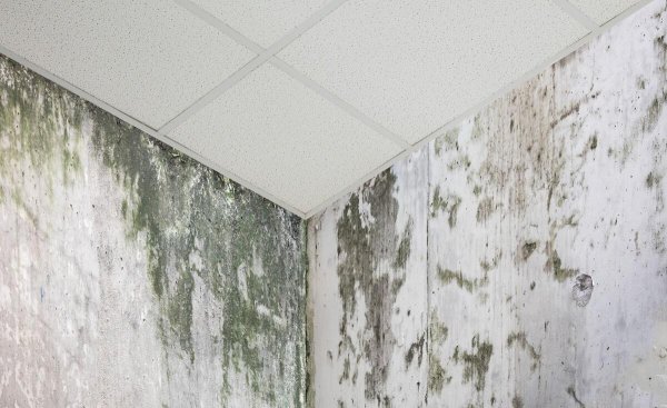 如何判断渗水还是返潮