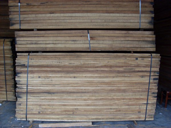 卡斯拉木是什么木材