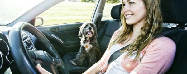 换汽车要注意什么东西