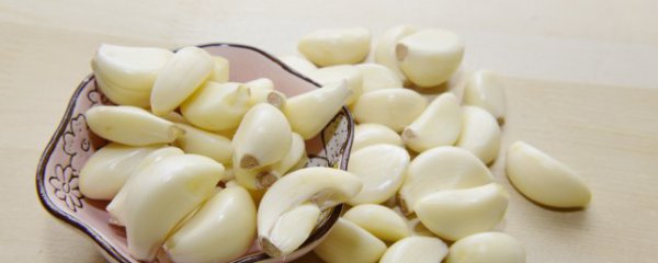 大蒜什么季节种植