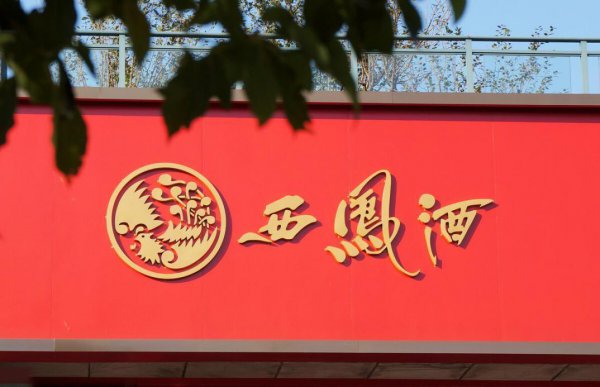 陕西名酒有哪些