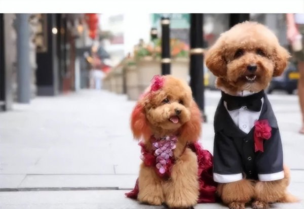 在家里就能赚钱的工作