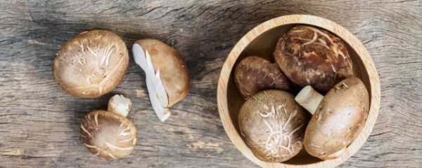 香菇能放冰箱吗