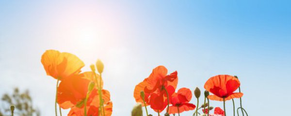 一句话早安说说