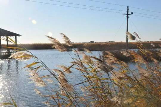 山东东明县属于哪个市管辖