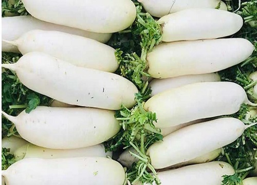 白萝卜是热性还是凉性