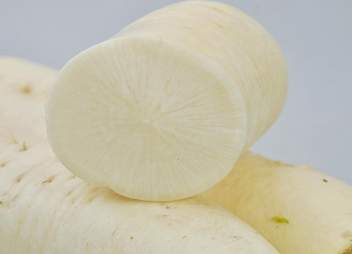 白萝卜是热性还是凉性