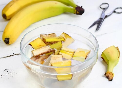 用什么废料养花效果比较好