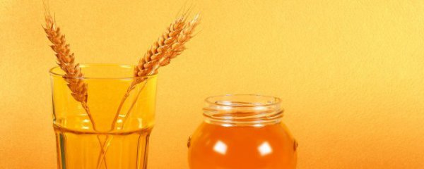 新鲜蜂蜜怎么做好吃又简单