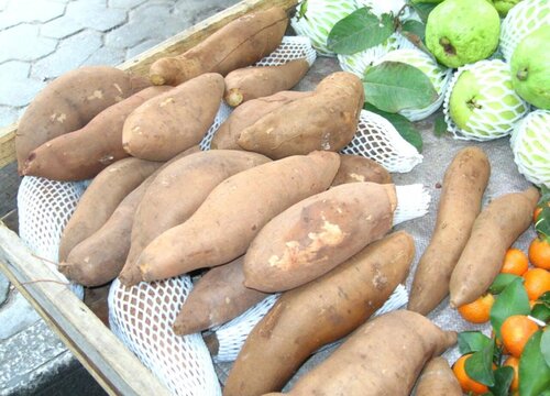 山芋什么时候成熟