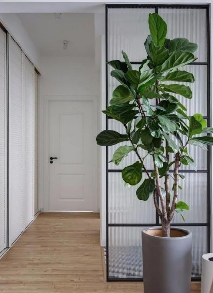 主卧正对入户门是大忌吗