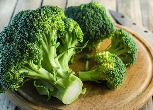 养的宠物狗狗可以吃西兰花吗