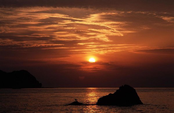 十大必看热血小说完本