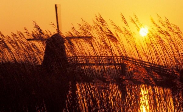 十大必看热血小说完本