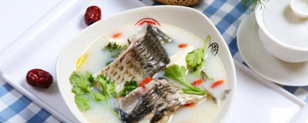 做鱼汤用什么鱼好