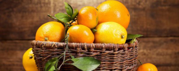 常见的橙子品种