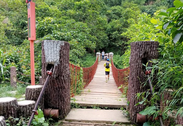 深圳梧桐山有多高
