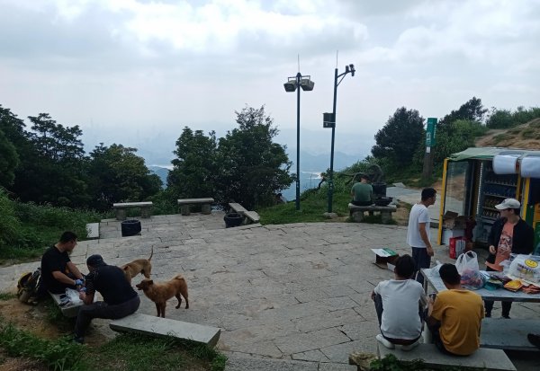 深圳梧桐山有多高